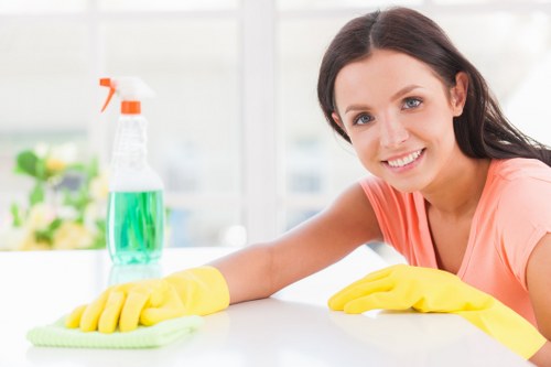 Local gutter cleaning service for BR3 homes and commercial properties