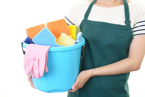 Professional curtain cleaning for BR3 homes and businesses