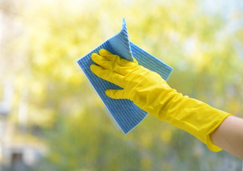 Cleaning of a shared apartment entrance in BR3