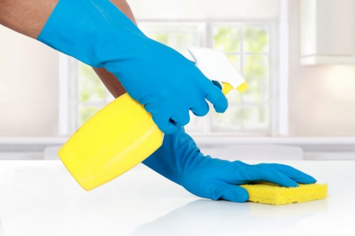 Professional carpet cleaning for BR3 homes and hallways