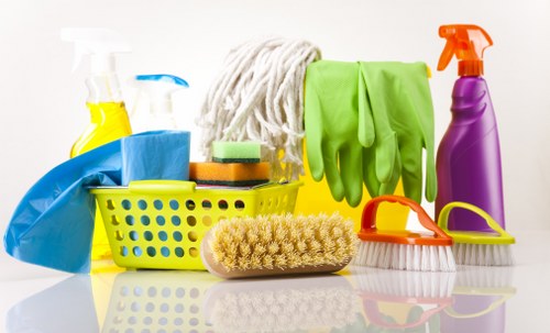 Deep one-time cleaning visit for a BR3 property