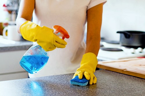 Professional mattress cleaning service for BR3 homes