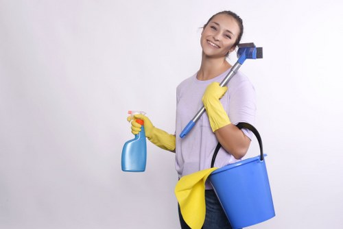 Regular house cleaning for a flat in BR3