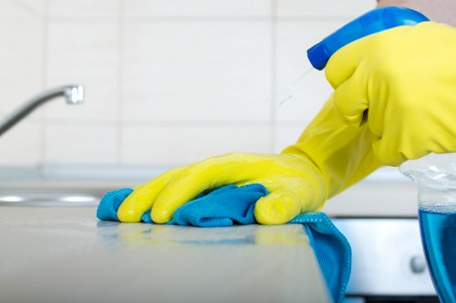 Domestic cleaner working in a BR3 kitchen and living area