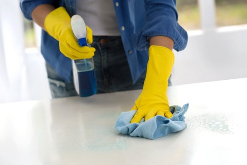 Weekly cleaning support for a BR3 apartment living room